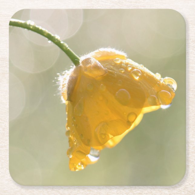 Morgen Buttercup Square Untersetzer (Vorderseite)