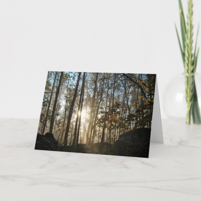 Morgen im Pennsylvania-Wald Karte (Vorderseite)