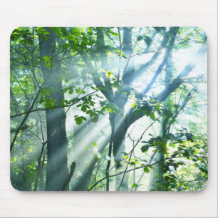 Morgen im Wald Mousepad