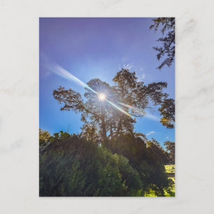 Morgen in Milledgeville Postkarte