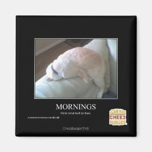 Morgen Magnet