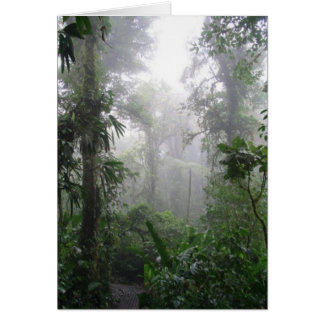 Morgen-Nebel