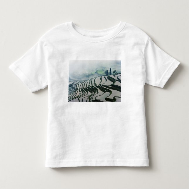 Morgen-Nebel über Reis-Feldern Kleinkind T-shirt (Vorderseite)