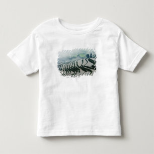 Morgen-Nebel über Reis-Feldern Kleinkind T-shirt