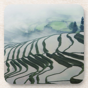 Morgen-Nebel über Reis-Feldern Untersetzer