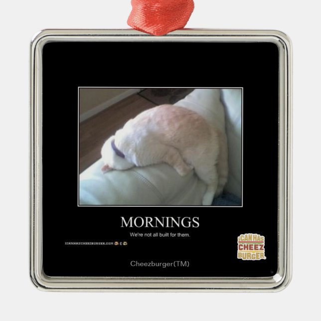 Morgen Silbernes Ornament (Vorne)