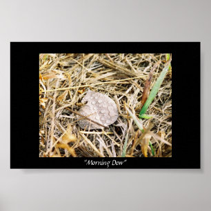 Morgen-Tau Poster