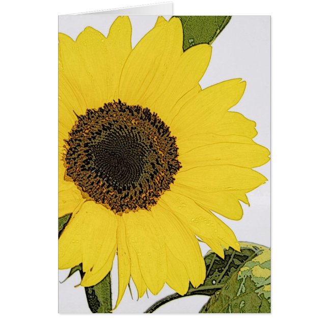 Morgen-Tau-Sonnenblume (Vorne)