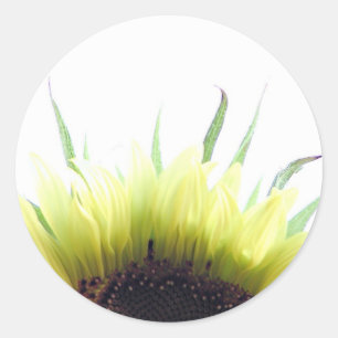 Morgenaufkleber Runder Aufkleber