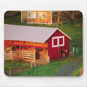 Morgendliche Aufgaben auf dem Bauernhof. USA, Verm Mousepad