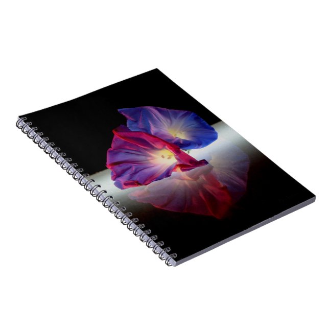 MORGENE GLORY-BLUME NOTIZBLOCK (Rechte Seite)