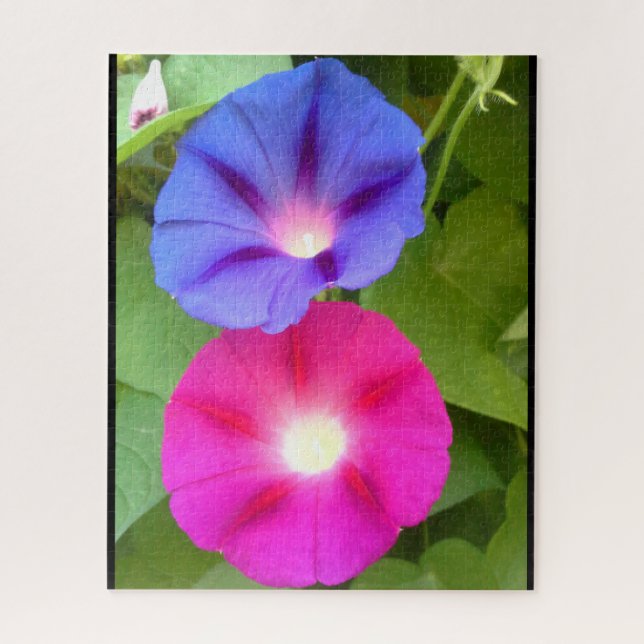 MORGENE GLORY-BLUME PUZZLE (Vertikal)