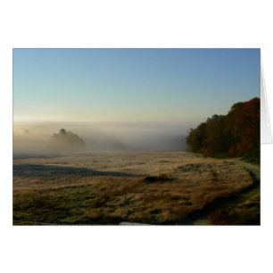 Morgenfeld