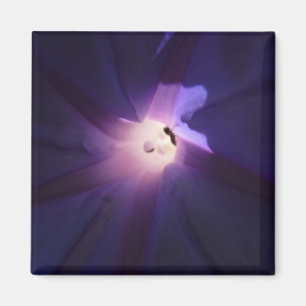 Morgenglanz Magnet