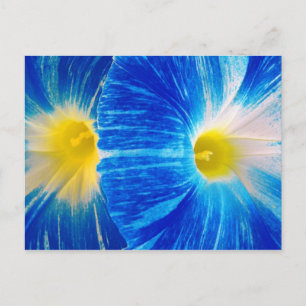Morgenglanz Postkarte