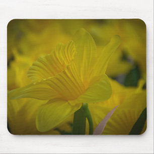 Morgengras Mousepad
