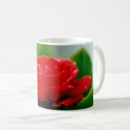 Morgengrauen rote Rose mit Taubstropfen Kaffeetasse