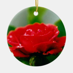 Morgengrauen Rote Rose mit Taubstropfen Keramik Ornament