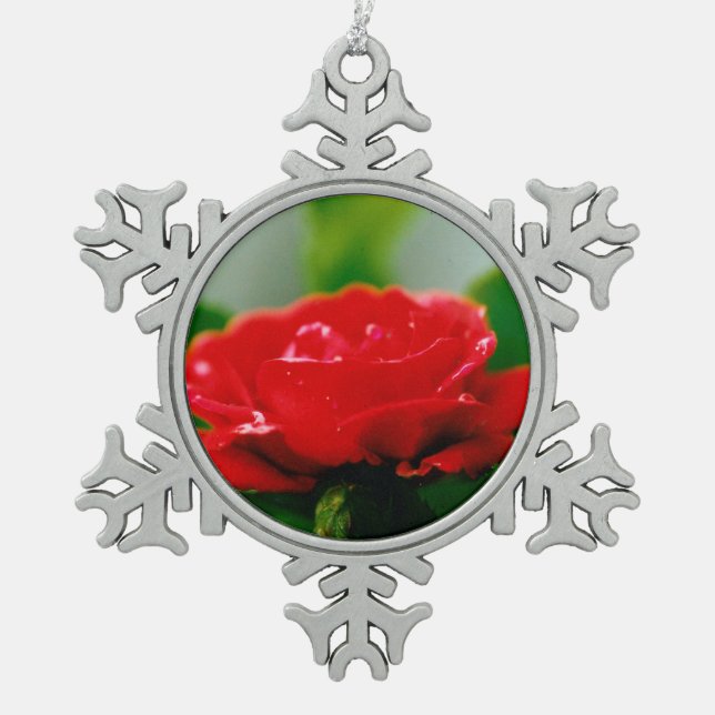 Morgengrauen Rote Rose mit Taubstropfen Schneeflocken Zinn-Ornament (Vorderseite)