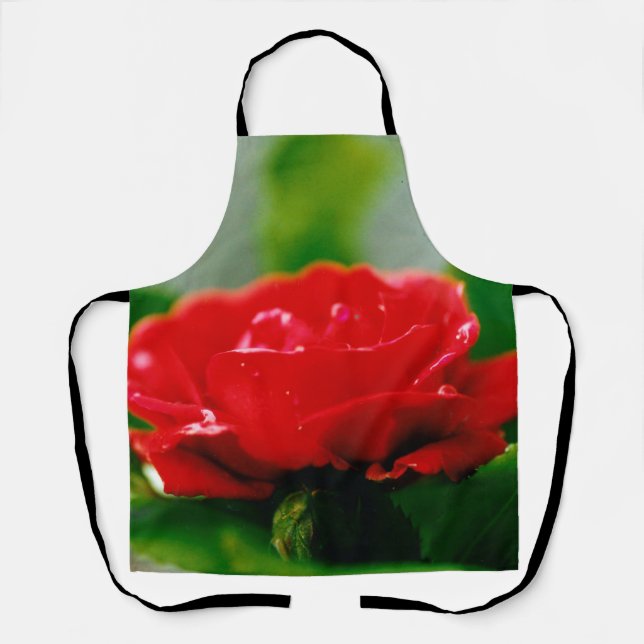Morgengrauen rote Rose mit Taubstropfen Schürze (Vorderseite)