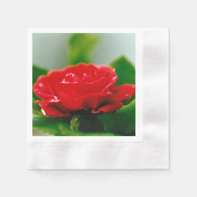 Morgengrauen rote Rose mit Taubstropfen Serviette (Vorderseite)