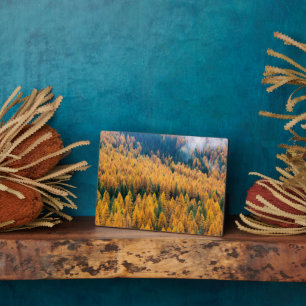 Morgenlicht am Strand Insel Tybee Fotoplatte