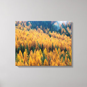 Morgenlicht am Strand   Insel Tybee Leinwanddruck