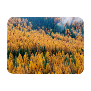 Morgenlicht am Strand   Insel Tybee Magnet