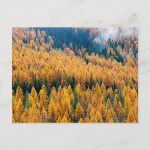 Morgenlicht am Strand   Insel Tybee Postkarte