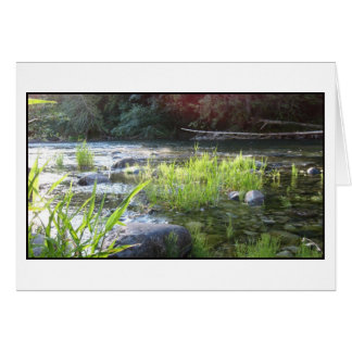 Morgenlicht auf dem Cowian River