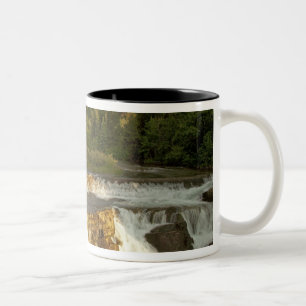 Morgenlicht begrüßt Swiftcurrent Falls in der Zweifarbige Tasse