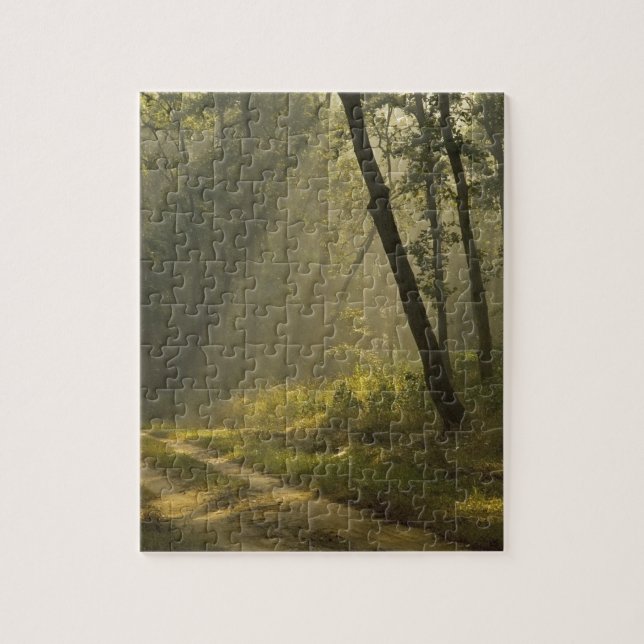 Morgenlicht durch Bäume im Dschungel Puzzle (Vertikal)