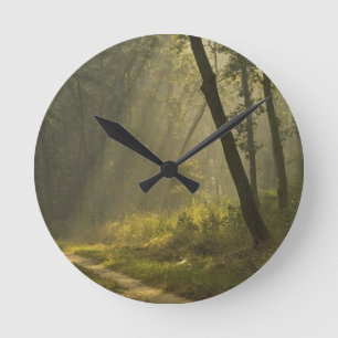Morgenlicht strahlt durch Bäume im Dschungel Runde Wanduhr