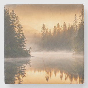 Morgennebel am Fluss in den Pinien Steinuntersetzer