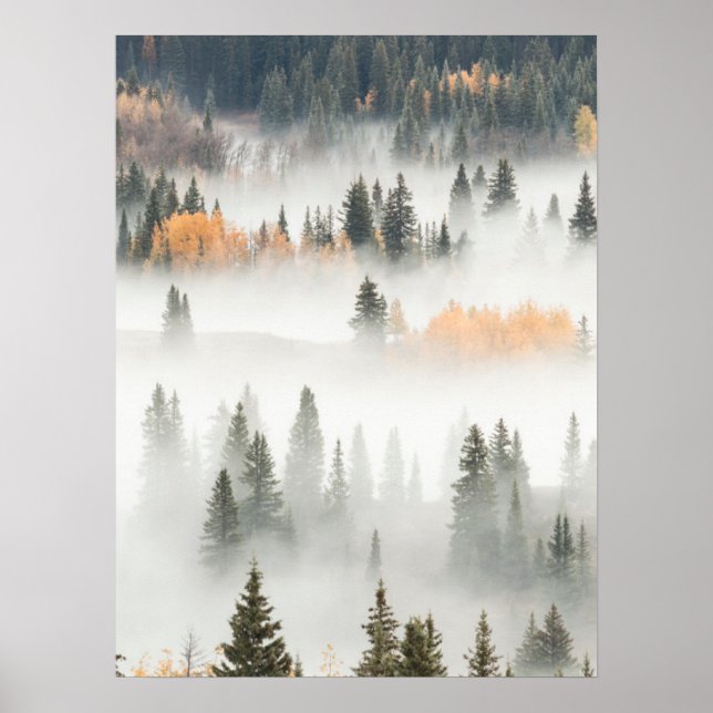 Morgennebel bedeckt Bergwald Poster (Vorne)