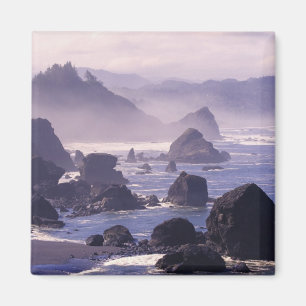 Morgennebel entlang der Küste von Oregon bei Nesi Magnet