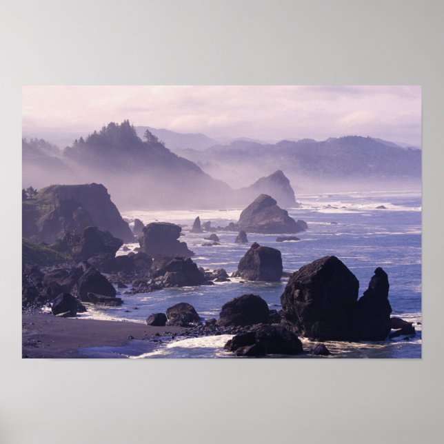 Morgennebel entlang der Küste von Oregon bei Nesik Poster (Vorne)