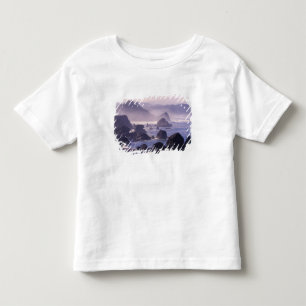 Morgennebel entlang der Oregon-Küste nahe Nesika, Kleinkind T-shirt