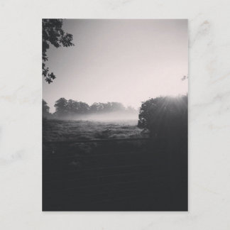 Morgennebel und niedrige Sonne auf dem Feld beim T Postkarte