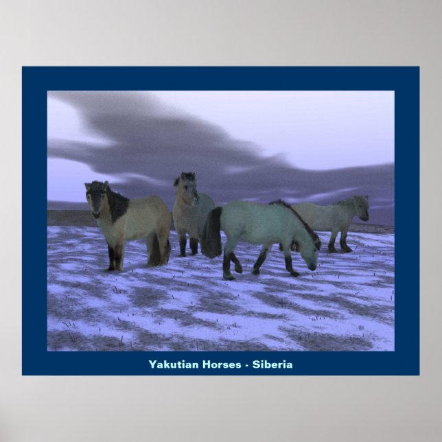 Morgenpferd Poster (Vorne)