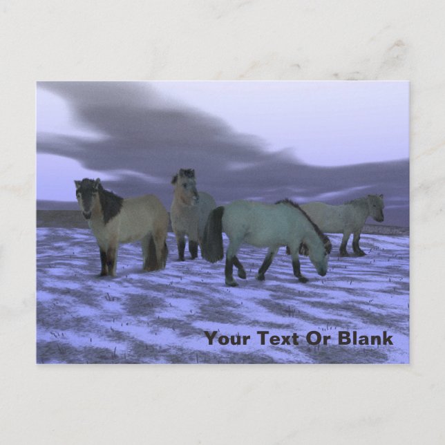 Morgenpferd Postkarte (Vorderseite)