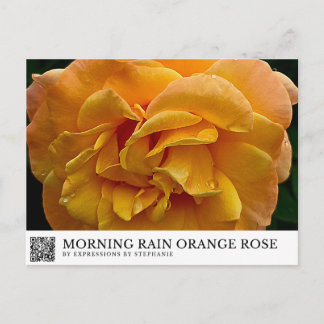Morgenregen Orange Rose Postkarte