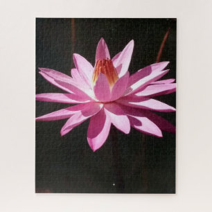 Morgenruhe: Rosa Lotus im sanften natürlichen Lich Puzzle