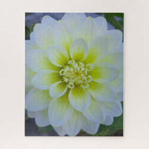 Morgenruhe: Weiße geschichtete Blüte im natürliche Puzzle