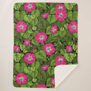 Morgenruhm in Rosa und Grün Sherpadecke