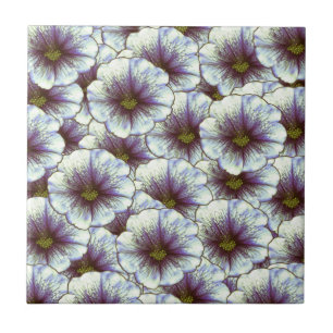 Morgenruhm Lila und weiß Fliese