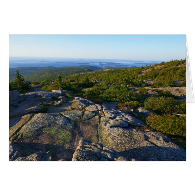 Morgens auf dem Cadillac Mountain at Acadia (Vorderseite (Horizontal))