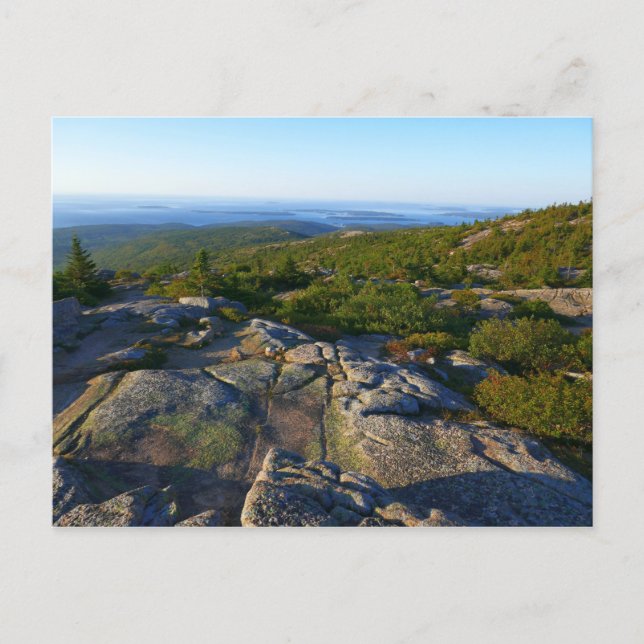 Morgens auf dem Cadillac Mountain at Acadia Postkarte (Vorderseite)