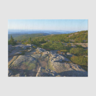 Morgens auf dem Cadillac Mountain at Acadia Seidenpapier