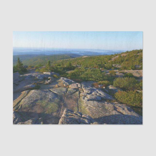 Morgens auf dem Cadillac Mountain at Acadia Seidenpapier (Vorderseite)